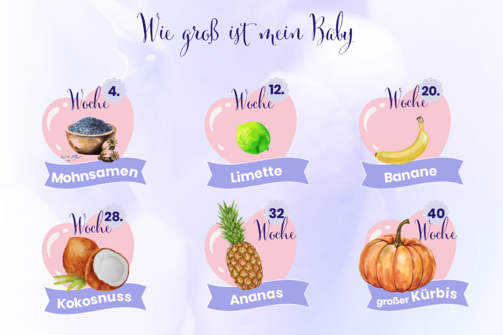 Schwangerschaftskalender – wie groß ist mein Baby? – Natalis®